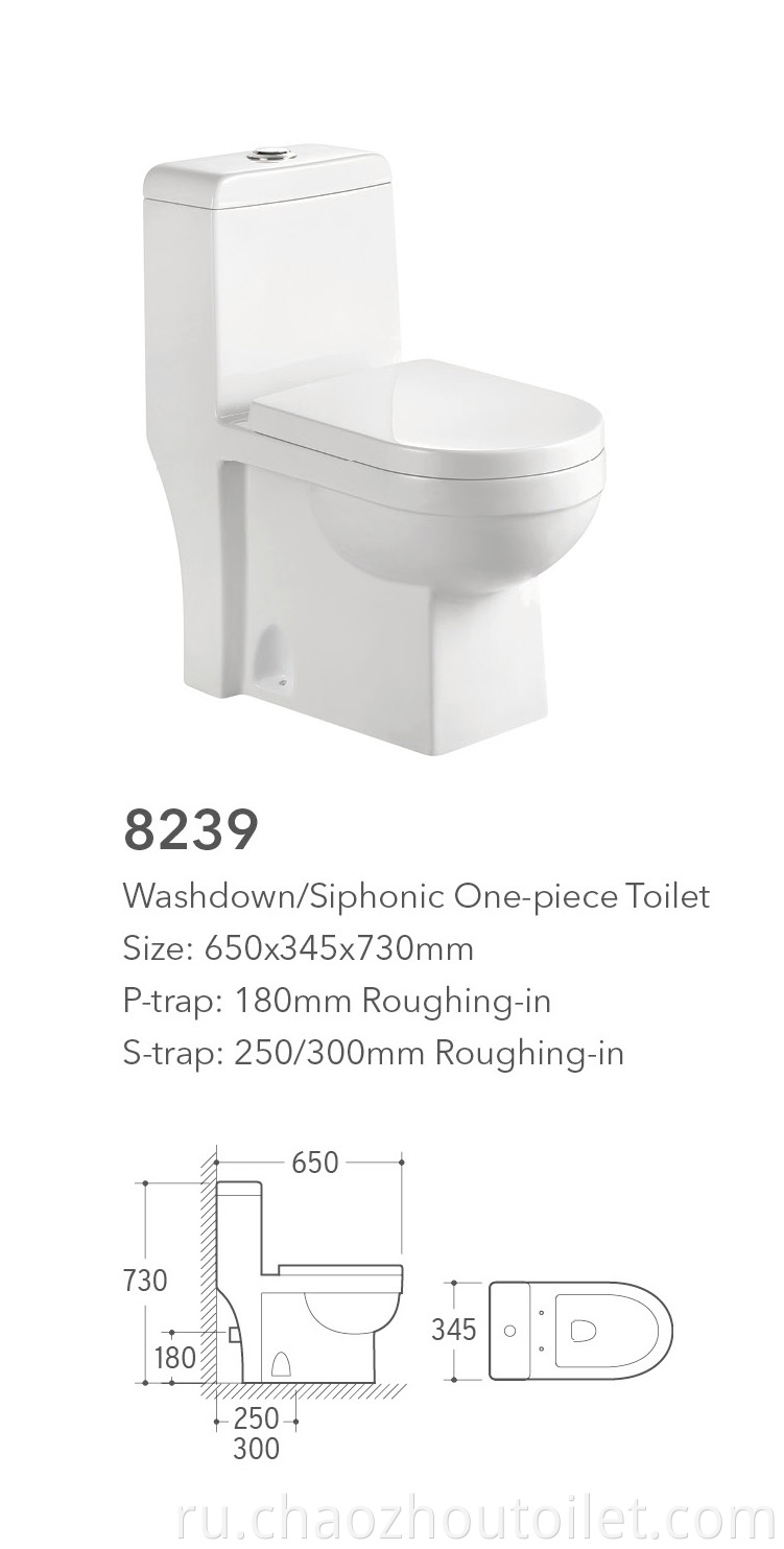 8239 One Piece Toilet